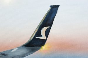 Картина «Над облаками» холст/масло, с дорисовкой по торцу подрамника, размер 50*70