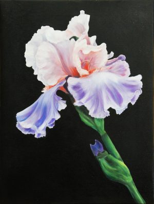Картина «Ирис» холст/масло, с дорисовкой по торцу подрамника, размер 30*40
