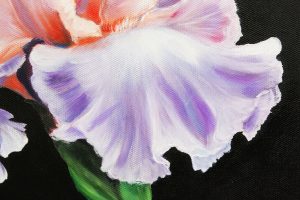 Картина «Ирис» холст/масло, с дорисовкой по торцу подрамника, размер 30*40