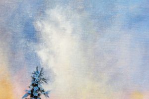 Картина «Морозное утро» холст/масло, с дорисовкой по торцу подрамника, размер 40*50